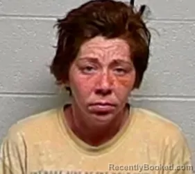 Mugshot of MEGHAN C OTOOLE booked in Lake County, Illinois on March 30, 2026