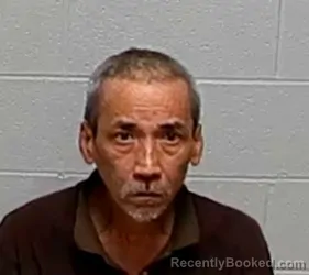 Mugshot of HONG T LUU booked in Lake County, Illinois on March 30, 2026