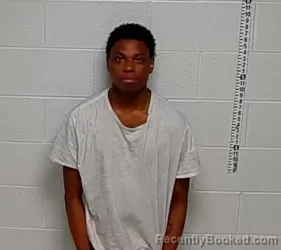 Mugshot of TYRONE WIDEMAN booked in Lake County, Illinois on March 30, 2026