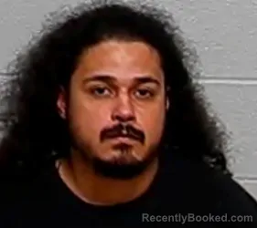 Mugshot of LUIS FERNANDO AYALA booked in Lake County, Illinois on March 31, 2026