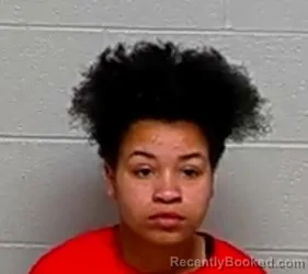 Mugshot of MIKILEY CANSLER booked in Lake County, Illinois on April 1, 2026