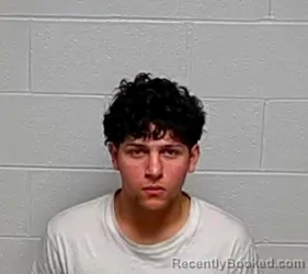 Mugshot of KENDRY J ALTUVE-RAMIREZ booked in Lake County, Illinois on April 3, 2026