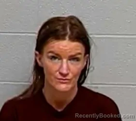 Mugshot of BRITTNY C MORROW booked in Lake County, Illinois on April 4, 2026