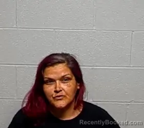 Mugshot of CARMEN D ESPINOSA booked in Lake County, Illinois on April 23, 2026