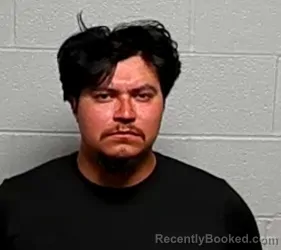 Mugshot of REYNALDO PALACIOS booked in Lake County, Illinois on May 14, 2026