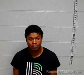 Mugshot of ALIJAH N COX booked in Lake County, Illinois on May 16, 2026