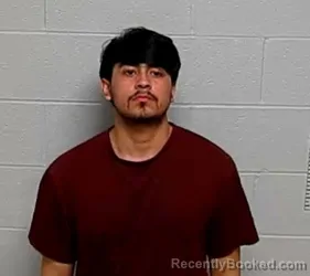 Mugshot of ARMANDO C FLORES booked in Lake County, Illinois on May 17, 2026
