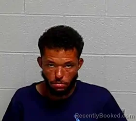 Mugshot of JAMES WILLIAMS booked in Lake County, Illinois on July 9, 2026