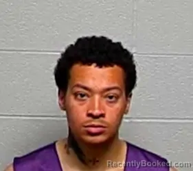 Mugshot of CYRUS D PADDOCK booked in Lake County, Illinois on June 4, 2026
