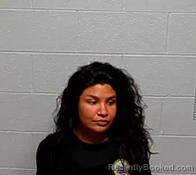 Mugshot of BRITTNEY D TEPECHA booked in Lake County, Illinois on June 12, 2026