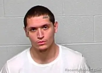 Booking photo from Lake County, Illinois