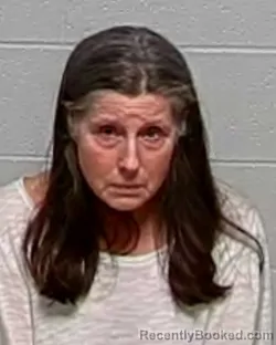 Mugshot of LAURA L SEYFERT booked in Lake County, Illinois on June 19, 2026