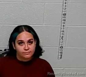 Mugshot of ALEXIS F ORTIZ booked in Lake County, Illinois on June 29, 2026