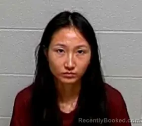 Mugshot of LI FAN booked in Lake County, Illinois on July 2, 2026
