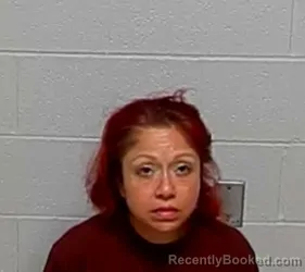 Mugshot of SANDRA GARCIA booked in Lake County, Illinois on July 8, 2026