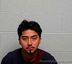 Mugshot of ALEXIS ARENALES booked in Lake County, Illinois on July 12, 2026