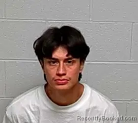 Mugshot of STEVEN G CASTILLO TORRES booked in Lake County, Illinois on July 13, 2026