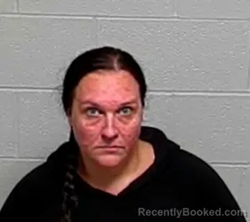 Mugshot of JENNIFER E LEBRON booked in Lake County, Illinois on July 14, 2026