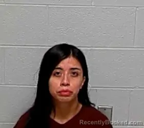 Mugshot of JOSSELYN CALDERON BAHENA booked in Lake County, Illinois on July 14, 2026