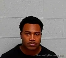 Mugshot of Tyler Williams booked in Lake County, Illinois on August 8, 2026