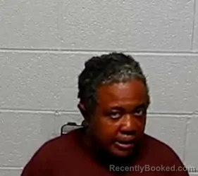 Mugshot of Aisha S Pankey booked in Lake County, Illinois on August 8, 2026