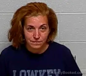 Mugshot of Angela M Palozzolo booked in Lake County, Illinois on August 16, 2026