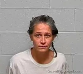 Mugshot of Cecelia Christine Ivic booked in Lake County, Illinois on August 17, 2026