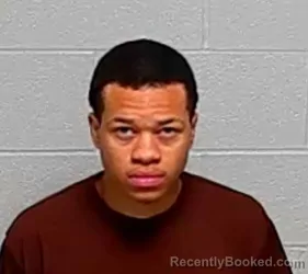 Mugshot of Sirye M Williams