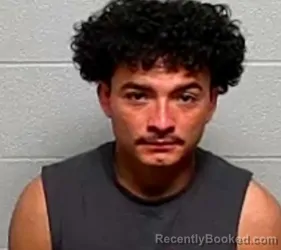 Mugshot of Fredy D Paz Torres booked in Lake County, Illinois on October 20, 2026