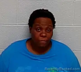 Mugshot of DEBBIE D ADAMS booked in Lake County, Illinois on March 19, 2026