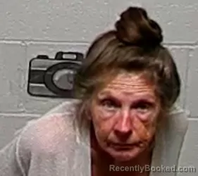 Mugshot of DOROTHY ANN MCGOVERN booked in Lake County, Illinois on June 28, 2026
