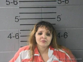 Mugshot of TOSHA NICOLE CLARK
