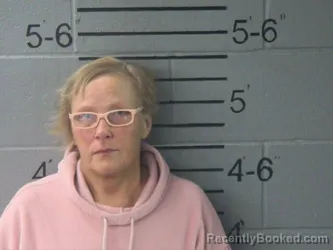 Mugshot of MICHELE LYNN YARD booked in Lawrence County, Illinois on March 19, 2026