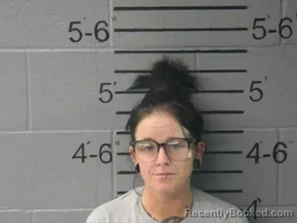 Mugshot of MELISSA BRIEAN STURGEON booked in Lawrence County, Illinois on April 6, 2026