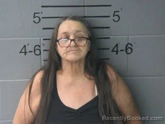 Mugshot of BEVERLY JEAN LOVE booked in Lawrence County, Illinois on April 16, 2026