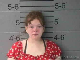 Mugshot of JEANNA MARIE CESSNA booked in Lawrence County, Illinois on May 20, 2026