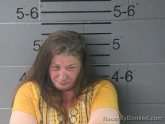 Mugshot of DAVIDA PEARLEANE WINNINGHAM booked in Lawrence County, Illinois on June 2, 2026