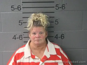 Mugshot of ELIZABETH ANN AINSCOUGH booked in Lawrence County, Illinois on June 24, 2026