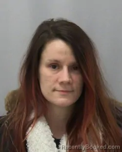 Mugshot of SARA J MCDERMOTT