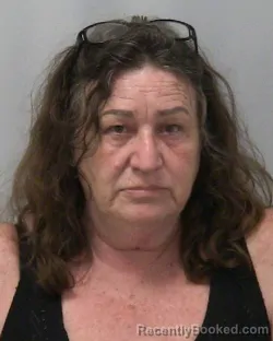 Mugshot of LAURA A STROUD booked in Lee County, Illinois on April 16, 2026