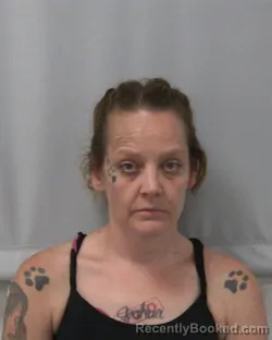 Mugshot of TRACIE L SHEPARD booked in Lee County, Illinois on July 8, 2026