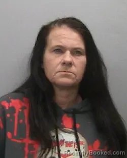 Mugshot of AMY L CARLSON booked in Lee County, Illinois on April 2, 2026