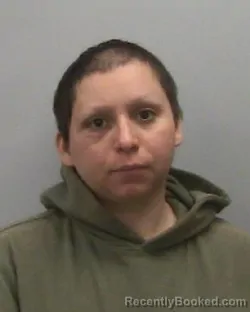 Mugshot of BREANNA L MEKEMSON booked in Lee County, Illinois on April 15, 2026