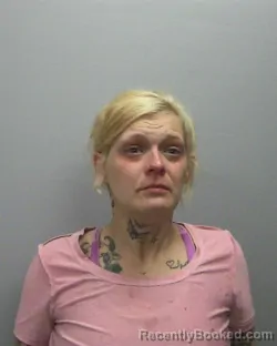 Mugshot of Manda R Klieber booked in Lee County, Illinois on August 10, 2026
