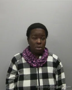Mugshot of SAKINAH ROBERSON booked in Lee County, Illinois on June 18, 2026