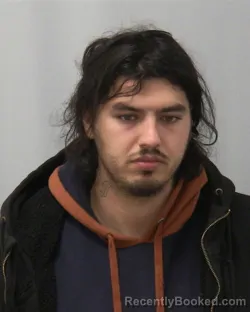 Mugshot of BLAKE M FULLMER booked in Lee County, Illinois on April 19, 2026