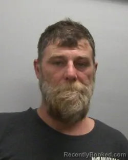 Mugshot of ROBERT L MCADAM booked in Lee County, Illinois on April 15, 2026