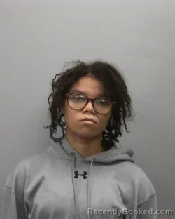 Mugshot of DYAMOND L HALL booked in Lee County, Illinois on March 28, 2026