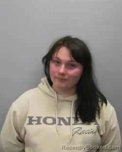 Mugshot of DANICA T SOLLARS booked in Lee County, Illinois on April 21, 2026