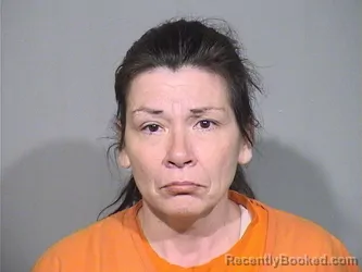 Mugshot of Michelle Lee Ludwig booked in McHenry County, Illinois on September 11, 2026